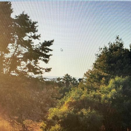 Siisa Appartamento La Muddizza Valledoria A 500 Mt Dal Mare Exteriér fotografie
