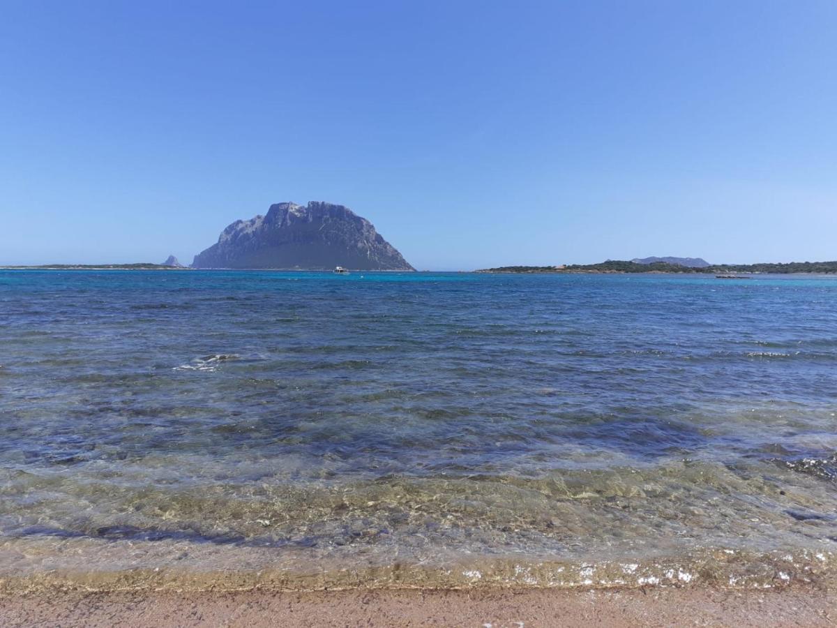 Siisa Appartamento La Muddizza Valledoria A 500 Mt Dal Mare Exteriér fotografie