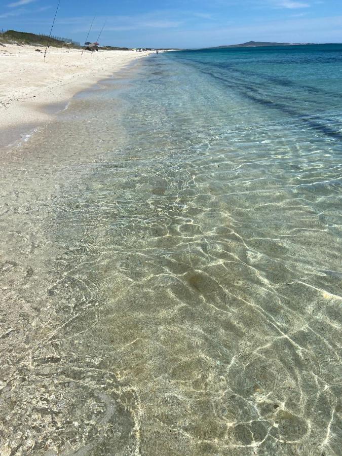 Siisa Appartamento La Muddizza Valledoria A 500 Mt Dal Mare Exteriér fotografie