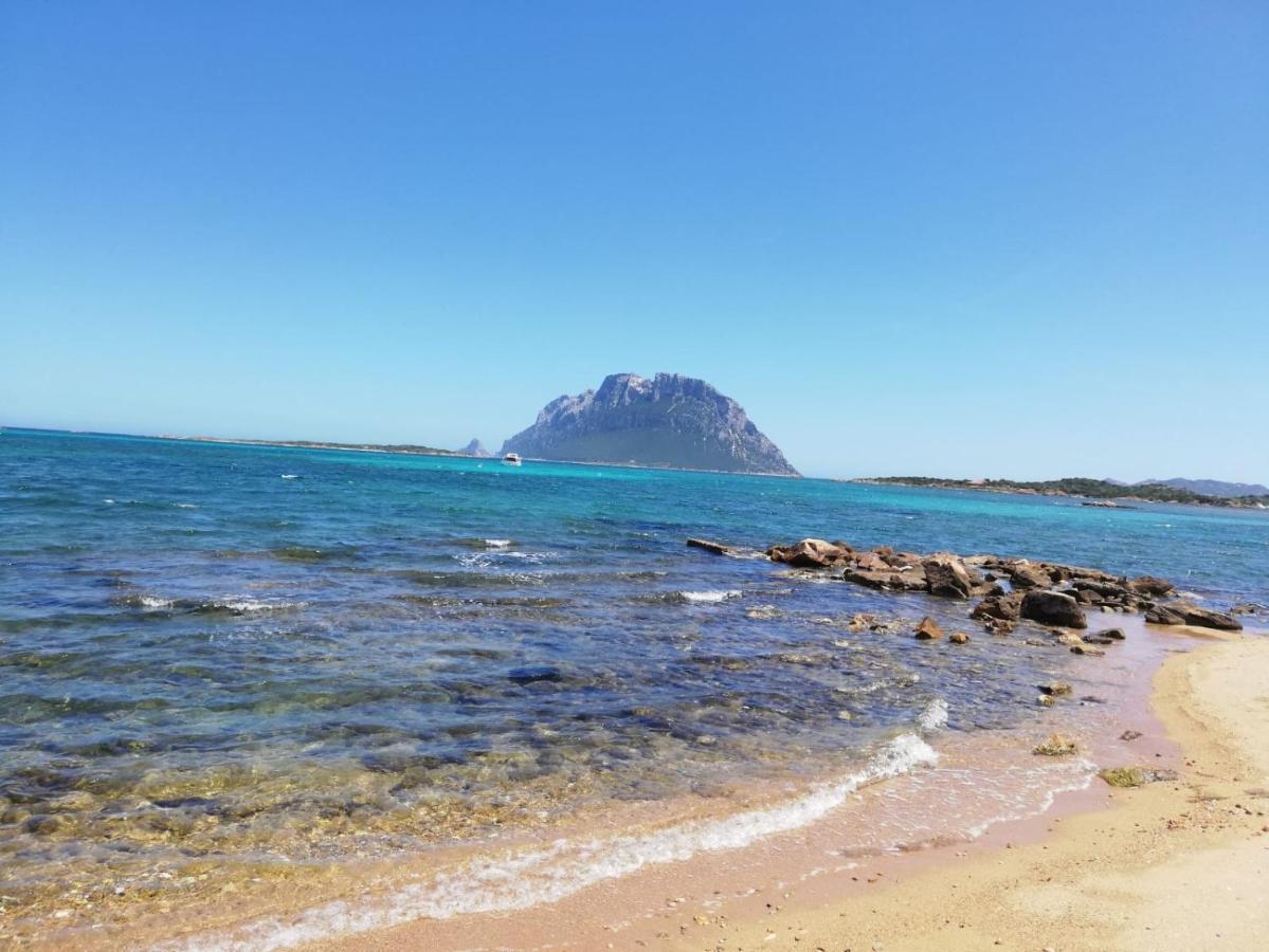Siisa Appartamento La Muddizza Valledoria A 500 Mt Dal Mare Exteriér fotografie